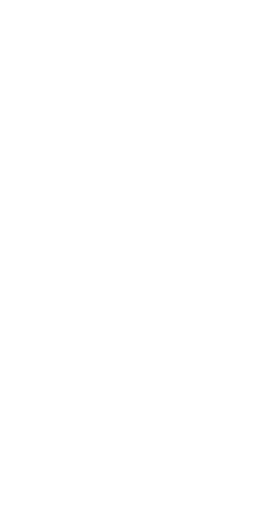 logo castello caresto
